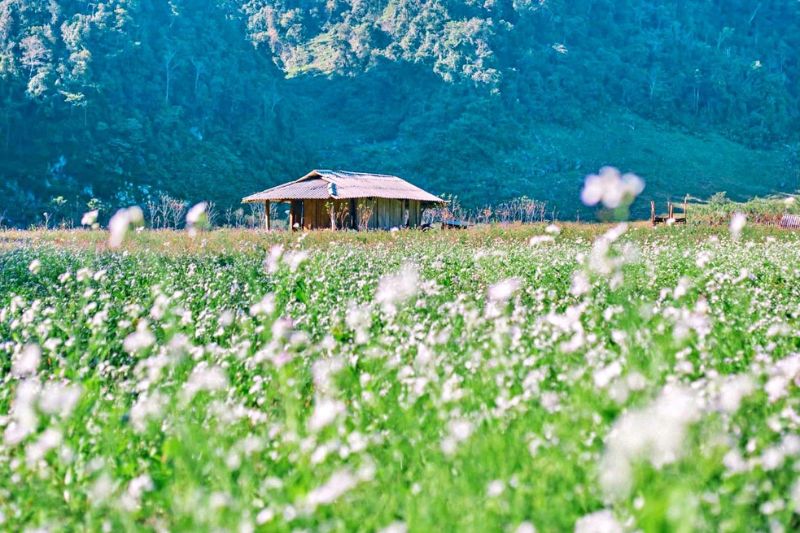 Tour Hà Nội – Sapa – Điện Biên – Mộc Châu – Hòa Bình