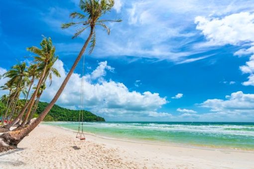Tour Phú Quốc – Safari - Vinwonders – Sunset Town