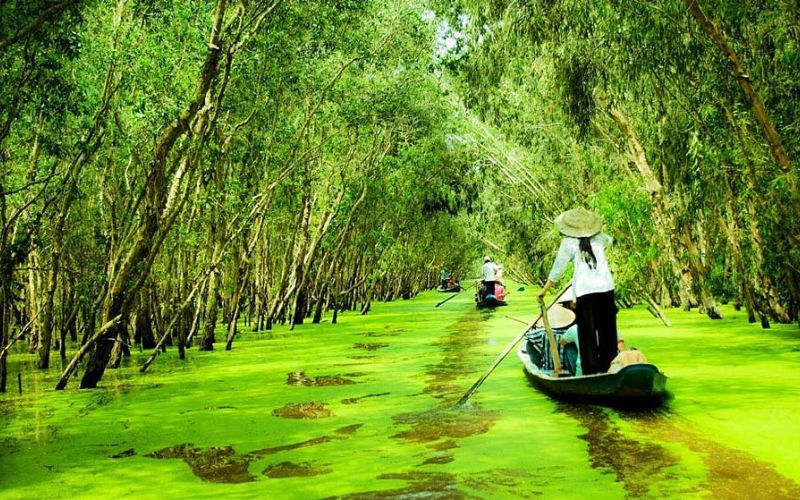 Vườn U Minh Hạ (Cà Mau) chính là khu dự trữ sinh quyển của thế giới. Cà Mau