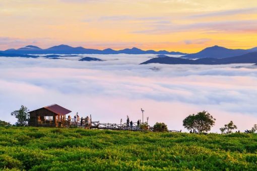 Tour Đà Lạt – Thiên Đường Săn Mây – Lời Của Gió – Puppy Farm - Thác Datanla