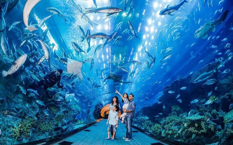 Khu vực khám phá đại dương ở Viện Hải Dương Học Nha Trang. Viện Hải Dương Học