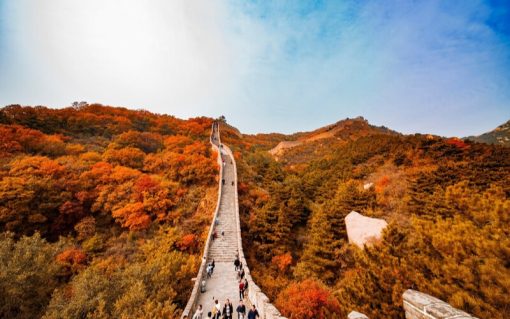 Mùa lá đỏ Vạn Lý Trường Thành