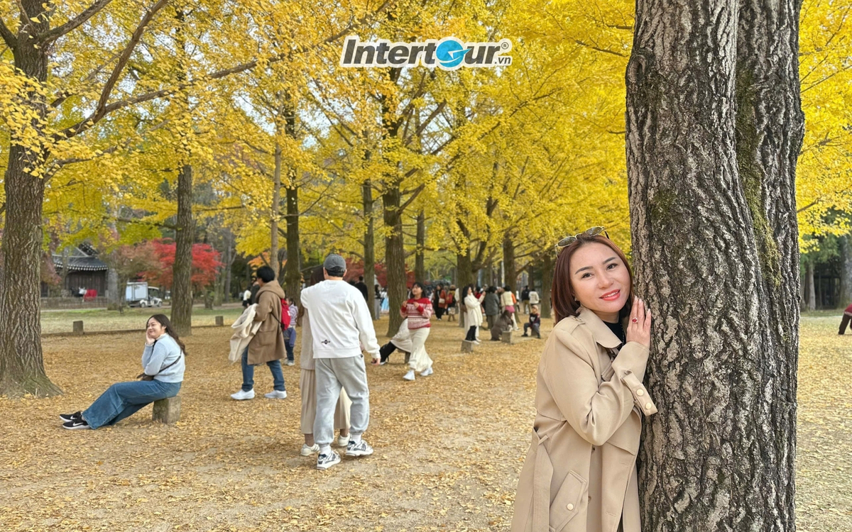 Cảnh đẹp như thế này mà không tranh thủ chụp ảnh thì rất tiếc. Cảnh đẹp như thế này mà không tranh thủ chụp ảnh thì rất tiếc