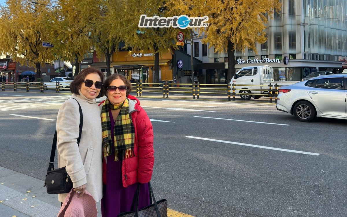 Cuối thu rồi nhưng Seoul vẫn phủ kín lá vàng. Cuối thu rồi nhưng Seoul vẫn phủ kín lá vàng