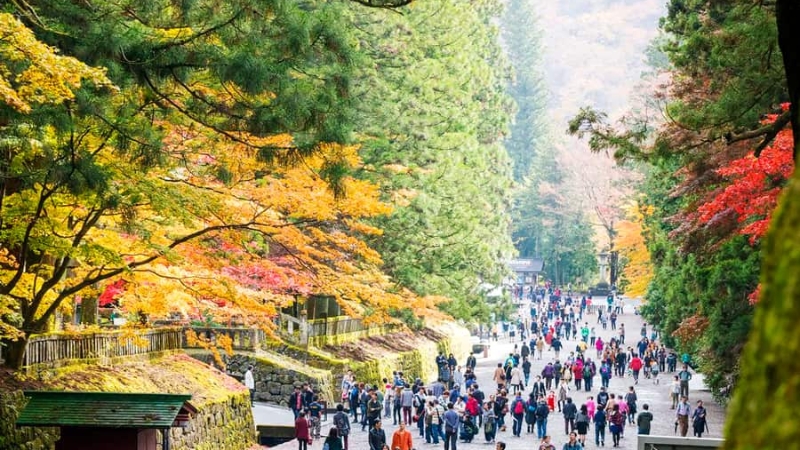 vùng đất Tochigi Nhật Bản