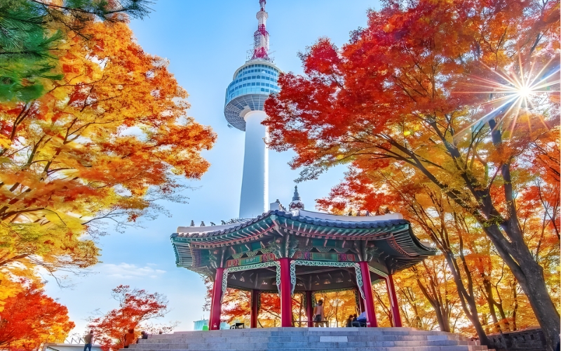 Seoul mùa lá đỏ. Seoul mùa lá đỏ