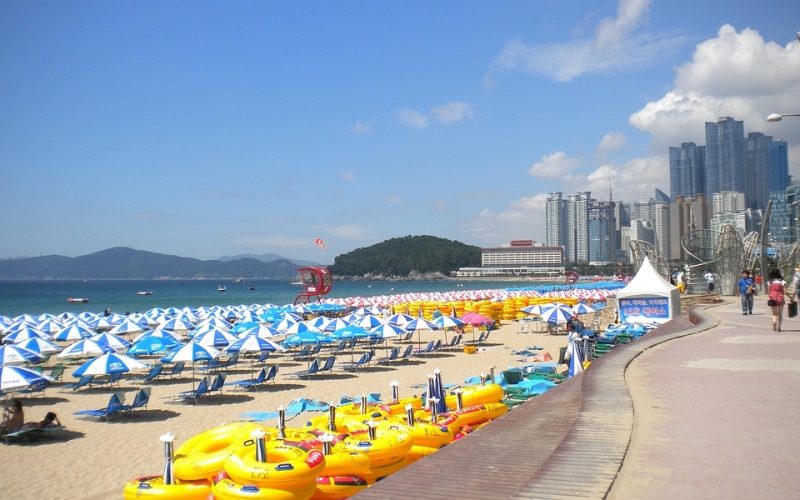Hè là lúc mọi người đổ về Haeundae để tắm biển. Hè là lúc mọi người đổ về Haeundae để tắm biển