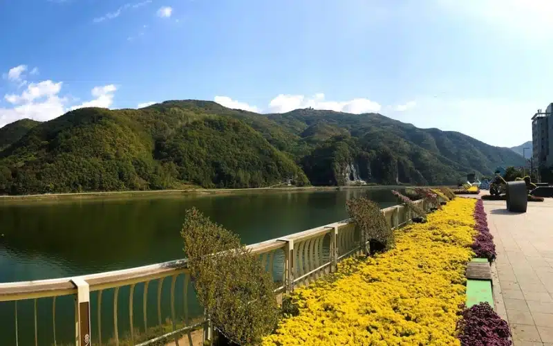 Khung cảnh ở núi và sông hồ kết hợp ở Chungcheongbuk-do. Khung cảnh ở núi và sông hồ kết hợp ở Chungcheongbuk-do