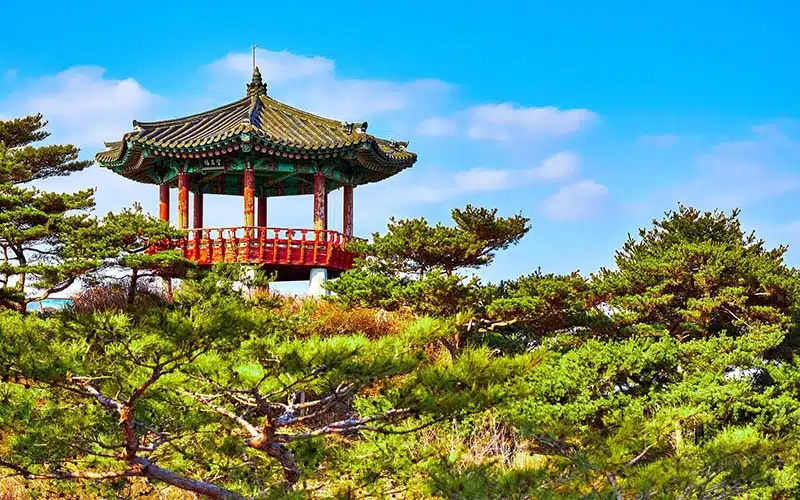 Hè chính là thời điểm tuyệt vời để bạn chinh phục đỉnh Wollyubong. Đỉnh Wollyubong