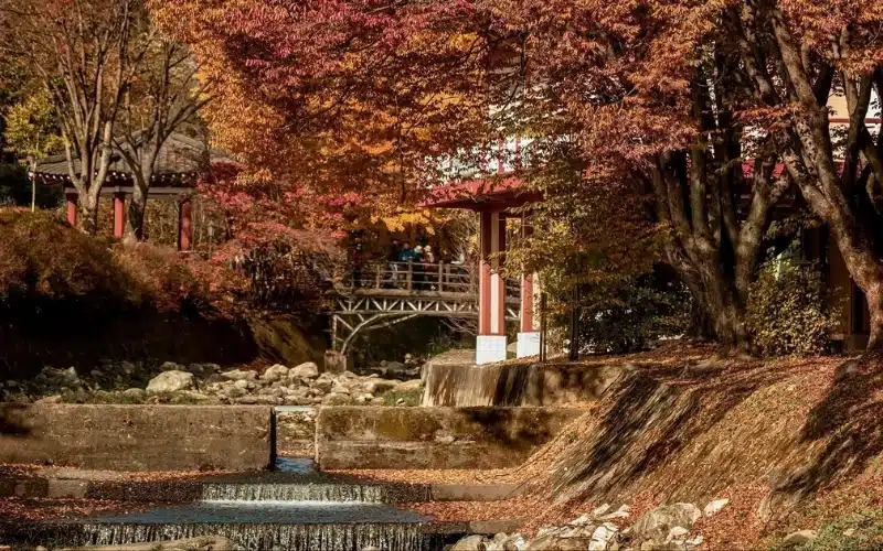 Mùa thu ở Jecheon, Chungcheongbuk-do Hàn Quốc. Mùa thu ở Jecheon, Chungcheongbuk-do Hàn Quốc