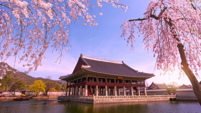 Cung điện Gyeongbokgung mùa xuân