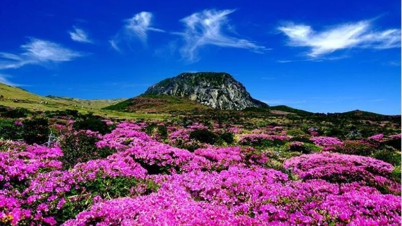 Núi Hallasan Jeju Hàn Quốc